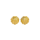 Golden Seashell Ohrringe